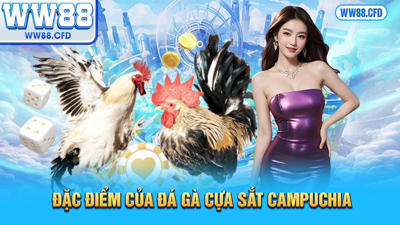 Đặc điểm của đá gà cựa sắt Campuchia