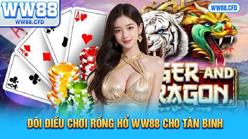 Đôi điều chơi Rồng Hổ WW88 cho tân binh