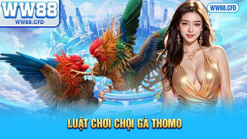 Luật chơi chọi gà Thomo